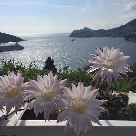 Apartment And Room Sveti Jakov Dubrovnik Luaran gambar