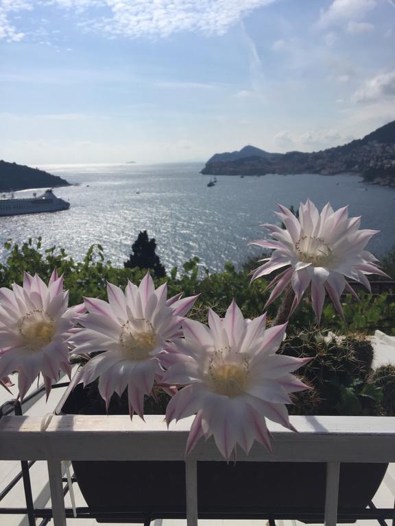 Apartment And Room Sveti Jakov Dubrovnik Luaran gambar